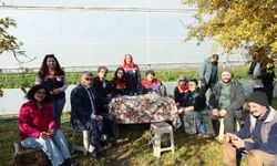 Eskişehir'de organik tarıma tam not