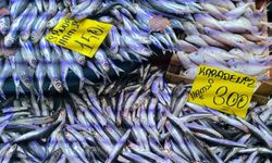 Havaların soğumasıyla balık tezgahlarında alışverişler hızlandı