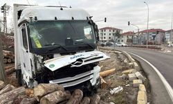 Kontrolden çıkan tır, kereste fabrikasının deposuna girdi