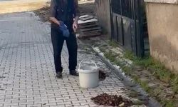 Kütahya’da yaşlı adamdan çevreye örnek temizlik dersi