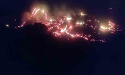 Bilecik’te alevler kontrolden çıktı