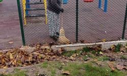 Bilecik’te temizlik seferberliği