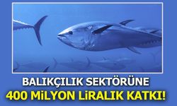 Balıkçılık Sektörüne 400 Milyon Liralık Katkı
