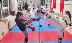 Bilecik’te karate spor okullarında yoğun tempo
