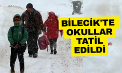 Bilecik'te okullar tatil edildi