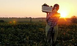 Bilecik Tarımında Kadınların Gücü