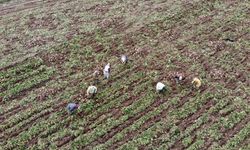 KADIN ÜRETİCİLERLE BİLECİK TARIMI