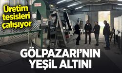 Gölpazarı'nın Yeşil Altını: Üretim tesisleri çalışıyor