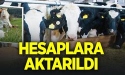 Hesaplara aktarıldı