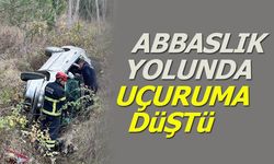 Abbaslık Yolunda Uçuruma Düştü