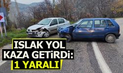 Islak yol kaza getirdi: 1 yaralı