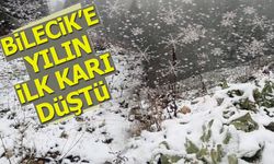 BİLECİK'E YILIN İLK KARI DÜŞTÜ