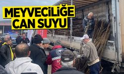 Meyveciliğe Can Suyu: 143 Üreticiye 11 Bin Fidan Desteği