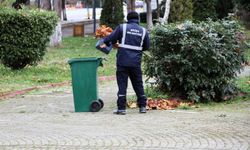Söğüt'ün Dörtbir Yanında Temizlik Seferberliği