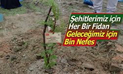 Şehitlerimiz İçin Her Bir Fidan, Geleceğimiz İçin Bin Nefes