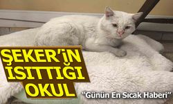 ''Şeker'in ısıttığı okul''