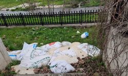 Temizlik ekiplerini bile şaşırtan olay