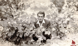 1949'da İstasyon üzüm bağları