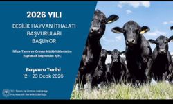 2026 BESİLİK HAYVAN İTHALATI BAŞVURULARI BAŞLIYOR
