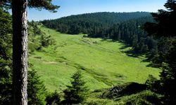 Bozüyük’ün Gizli Doğa Cenneti