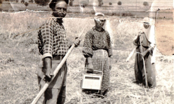 Bilecik'te Tarlada Emek ve Radyo