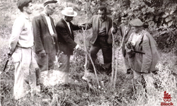 Bilecik’te Zeytin Fidanlarıyla Başlayan Hikâye