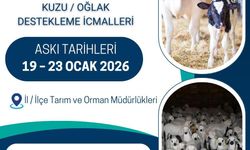 Buzağı, Malak, Kuzu ve Oğlak Destekleme İcmalleri Askıya Çıkarıldı