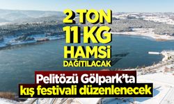 Pelitözü Gölpark'ta kış festivali düzenlenecek