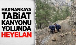 Harmankaya Tabiat Kanyonu Yolunda Heyelan