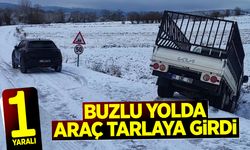Buzlu Yolda Araç Tarlaya Girdi: 1 Yaralı