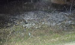 Ot ve Çalılık Yangını Korkuttu