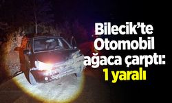 Bilecik'te Otomobil ağaca çarptı: 1 yaralı