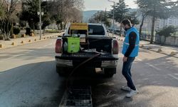 Söğüt’te Hummalı Kışlak Mücadelesi