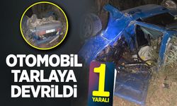 Otomobil tarlaya devrildi: 1 Yaralı