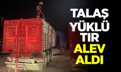 Bilecik'te Talaş yüklü tır seyir halinde alev aldı
