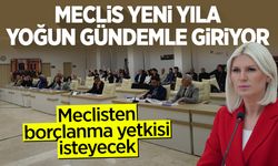 Bilecik Belediye Meclisi Yeni Yıla Yoğun Gündemle Giriyor