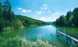 Yeşilin ve suyun büyülü buluşması