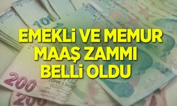 EMEKLİ VE MEMUR MAAŞ ZAMMI BELLİ OLDU