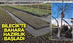 Bilecik'te bahara hazırlık başladı