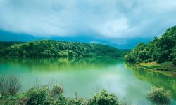 Bilecik'te çamların ve huzurun buluşma noktası