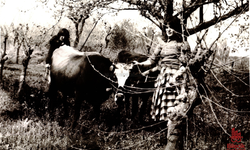 Çavuşköy’de Çift Sürmenin Hatırası