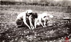 Çavuşköy’de Tütün Çimi Dikimi Hatırası