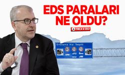 EDS Paraları ne oldu?