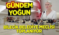 Gündem yoğun: Bilecik Belediye Meclisi Toplanıyor