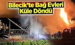 Bilecik’te Bağ Evleri Küle Döndü