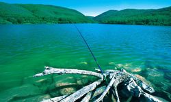 Kurtköy Baraj Göleti