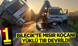 Mısır Koçanı Yüklü Tır Devrildi: 1 Yaralı