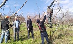 Osmaneli Çerkeşli Köyü’nde Çiftçi Ziyareti