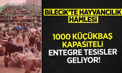 BİLECİK’TE HAYVANCILIK HAMLESİ: 1000 KÜÇÜKBAŞ KAPASİTELİ ENTEGRE TESİSLER GELİYOR!