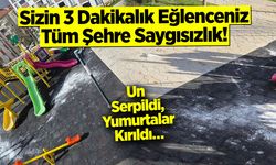 Altan Atar Parkı Çileye Döndü: Un Serpildi, Yumurtalar Kırıldı....